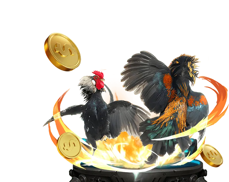 Đá Gà Philippin Sclub88